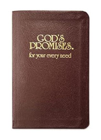 Image of God's Promises for your every need