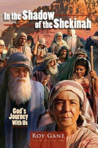 Image of In the shadow of the shekinah: God's journey with us