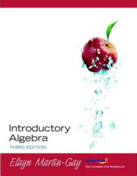 Image of Introductory Algebra